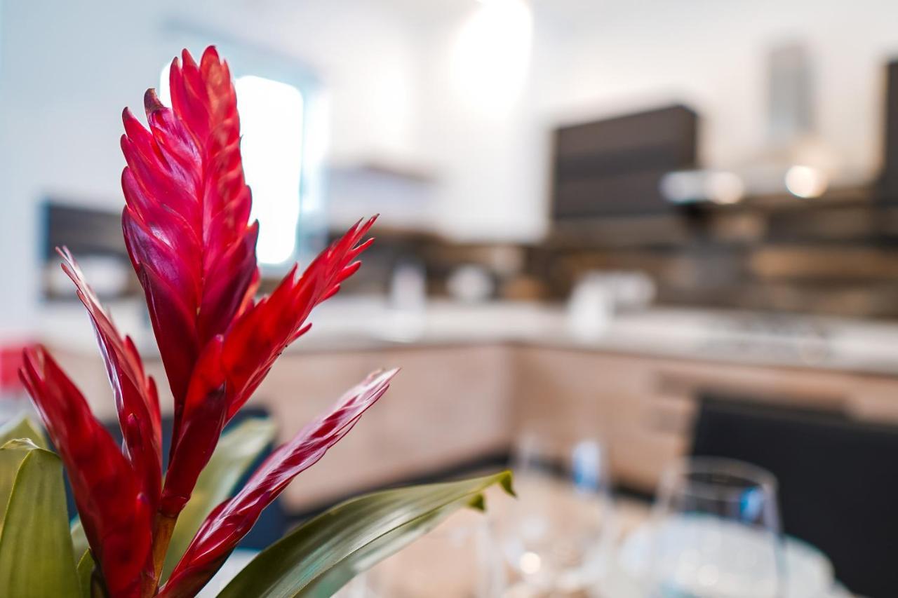 Narcisone Holiday HomeKerċem エクステリア 写真